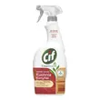 Kép 1/2 - Konyhai zsíroldó spray, 750 ml, CIF "Cleanboost"