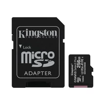 KINGSTON 256GB micSDXC Canvas Select