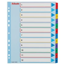 Regiszter, laminált karton, A4 Maxi, 1-12, újraírható, ESSELTE