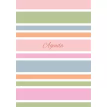 Naptár, tervező, A5, napi, DAYLINER "Colors Stripes"