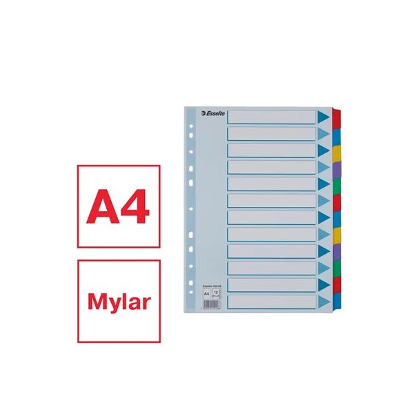 Regiszter, laminált karton, A4, 12 részes, ESSELTE "Mylar" - 2