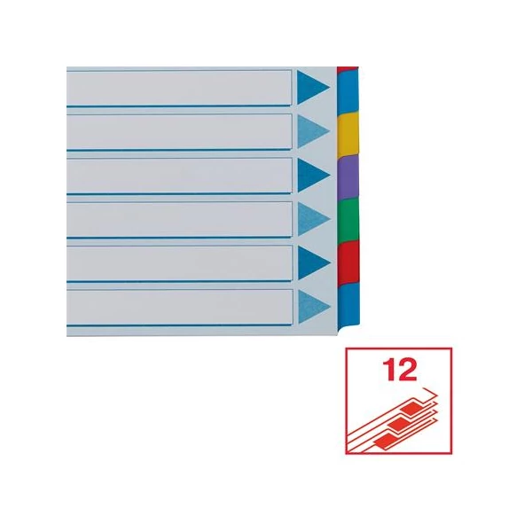 Regiszter, laminált karton, A4, 12 részes, ESSELTE "Mylar" - 5