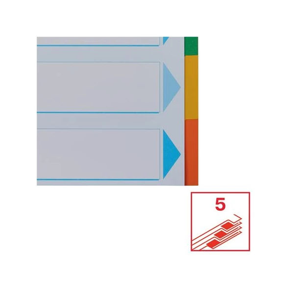 Regiszter, karton, A4, 5 részes, írható előlappal, ESSELTE "Standard", színes - 5