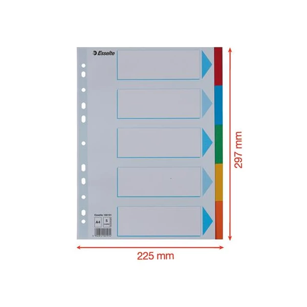 Regiszter, karton, A4, 5 részes, írható előlappal, ESSELTE "Standard", színes - 6