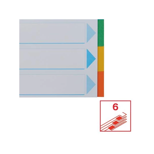 Regiszter, karton, A4, 6 részes, írható előlappal, ESSELTE "Standard", színes - 5