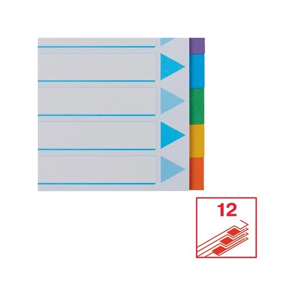 Regiszter, karton, A4, 12 részes, írható előlappal, ESSELTE "Standard", színes - 5