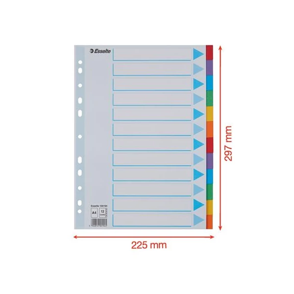 Regiszter, karton, A4, 12 részes, írható előlappal, ESSELTE "Standard", színes - 6