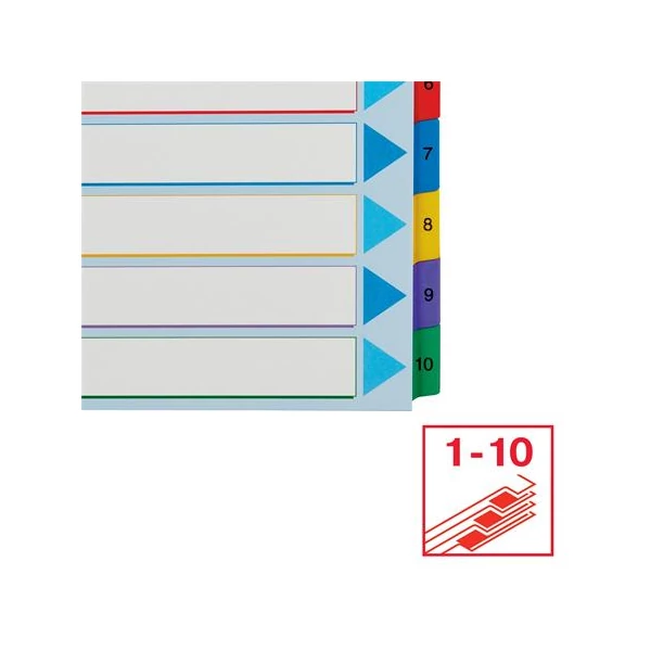 Regiszter, laminált karton, A4 Maxi, 1-10, újraírható, ESSELTE - 5