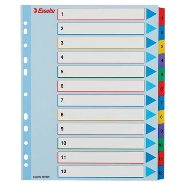 Regiszter, laminált karton, A4 Maxi, 1-12, újraírható, ESSELTE