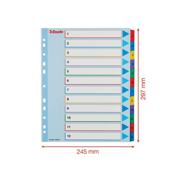 Regiszter, laminált karton, A4 Maxi, 1-12, újraírható, ESSELTE - 6