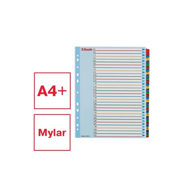 Regiszter, laminált karton, A4 Maxi, 1-31, újraírható, ESSELTE - 2