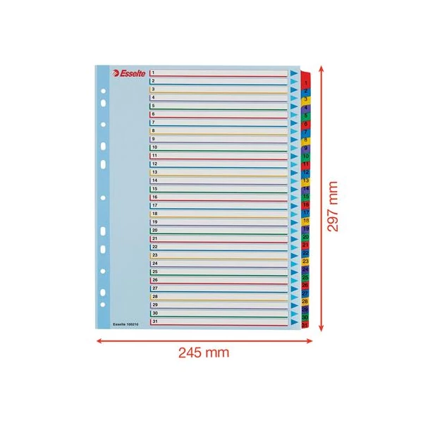 Regiszter, laminált karton, A4 Maxi, 1-31, újraírható, ESSELTE - 6