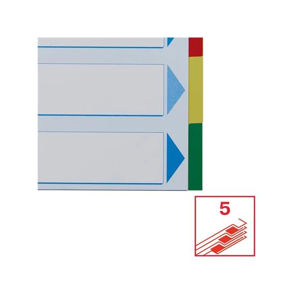 Regiszter, műanyag, A4, 5 részes, ESSELTE - 5