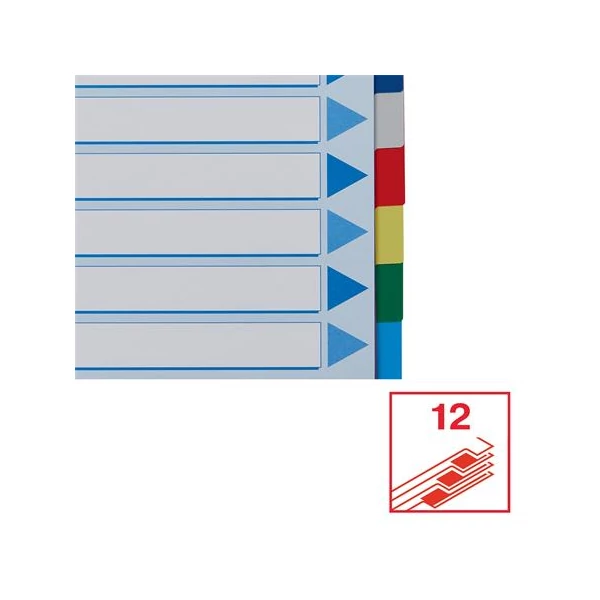 Regiszter, műanyag, A4, 12 részes, ESSELTE - 6