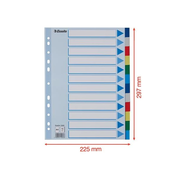 Regiszter, műanyag, A4, 12 részes, ESSELTE - 7